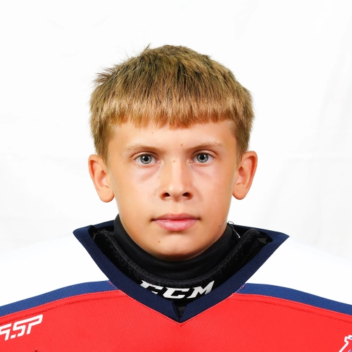 Starikov Arsenii Sergeevich