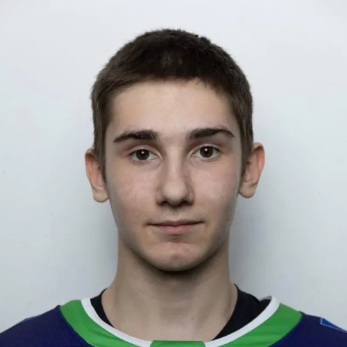Parfirov Mihail Aleksandrovich