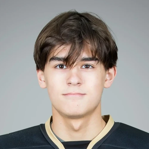 Semenov Danil Alekseevich