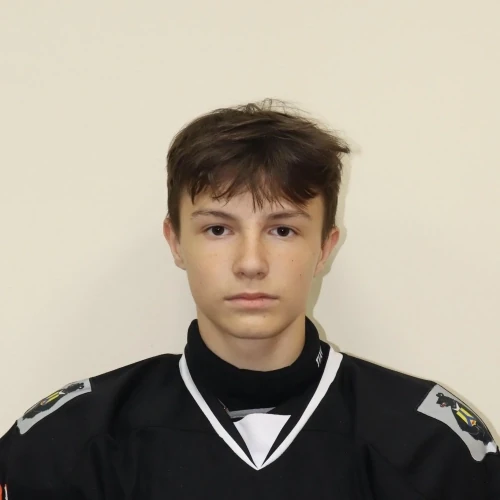 Shvedov Mihail Aleksandrovich