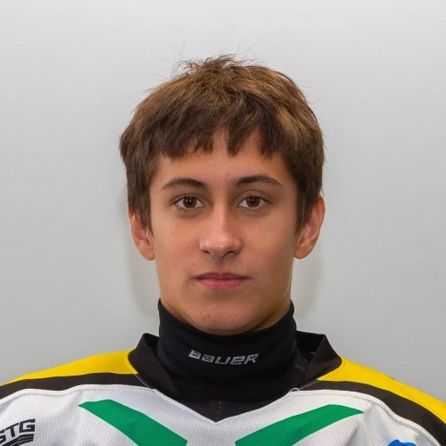 Chebotaev Dmitrii Mihailovich