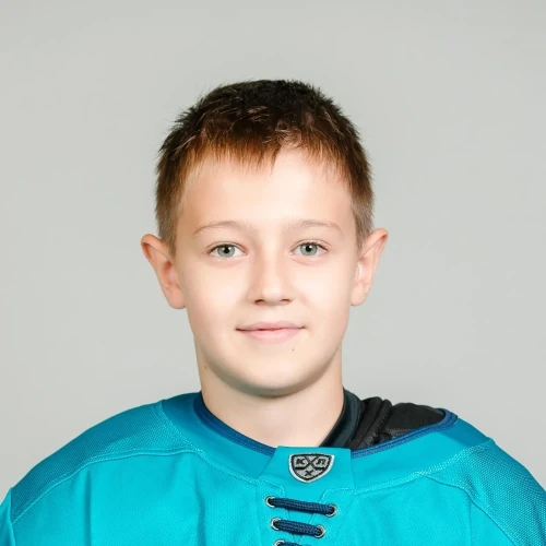 Evlampiev Dmitrii Igorevich