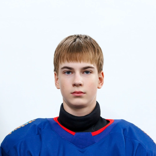 Sulyaev Egor Andreevich