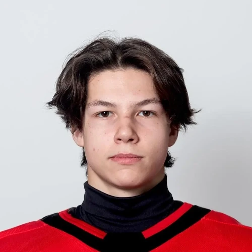Gurov Mihail Sergeevich