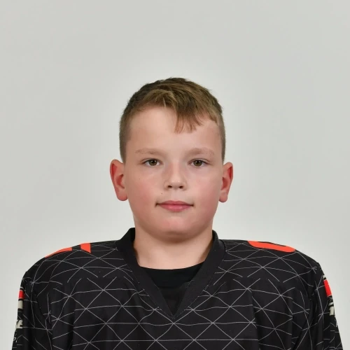 Tsygankov Roman Denisovich