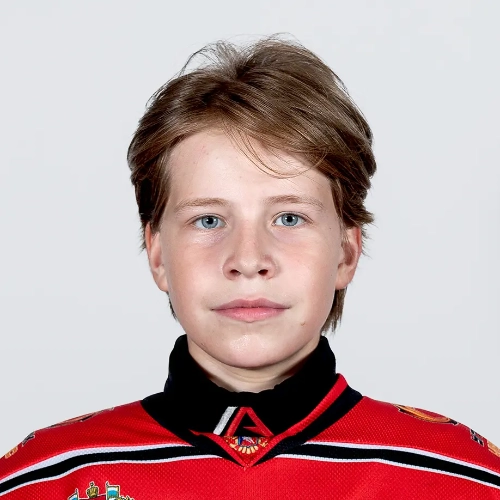 Anisimov Igor Dmitrievich