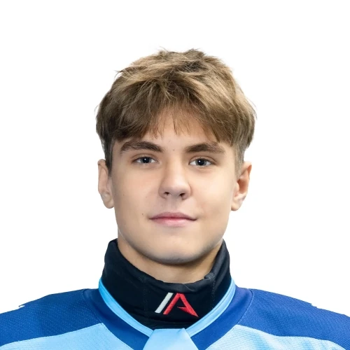 Grinev Denis Aleksandrovich