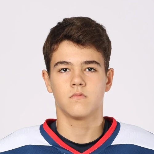 Mardaev Nikita Igorevich