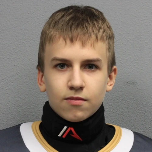 Shupranov Arsenii Igorevich
