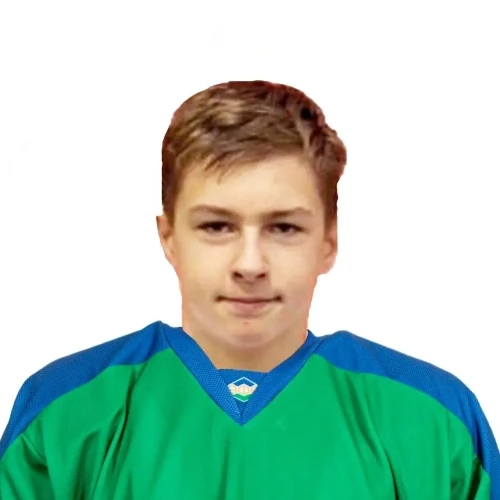 Zhuk Artur Sergeevich