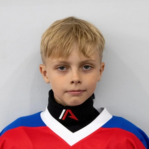 Biryukov Arsenii Denisovich