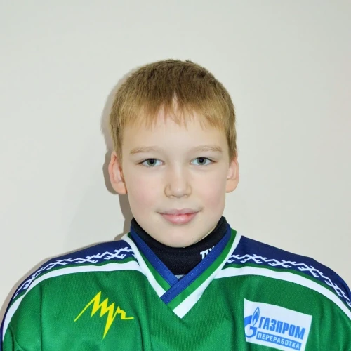 Sibetskii Nikita Aleksandrovich