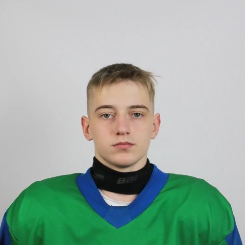 Mansvetov Nikita Sergeevich