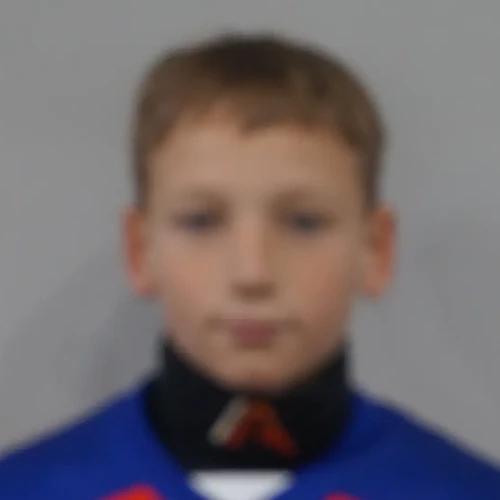 Berezinskii Artem Alekseevich