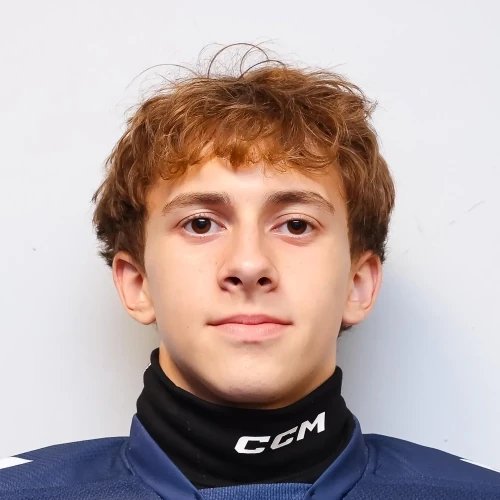 Shepelskii Pavel Olegovich