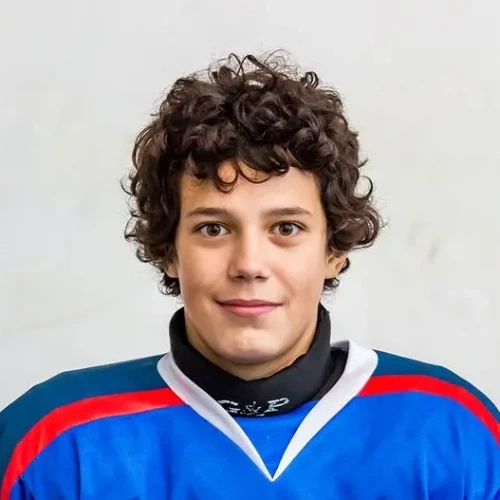 Grigorenko Miron Igorevich
