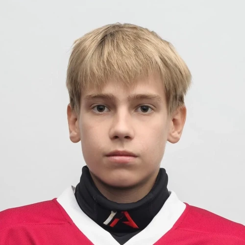 Rostovtsev Ilya Nikolaevich