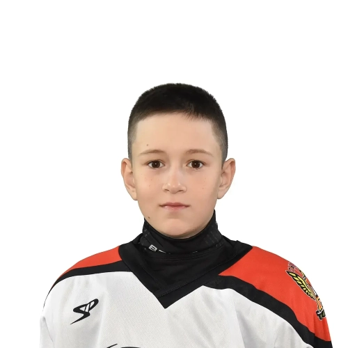 Selminskii Andrei Nikolaevich