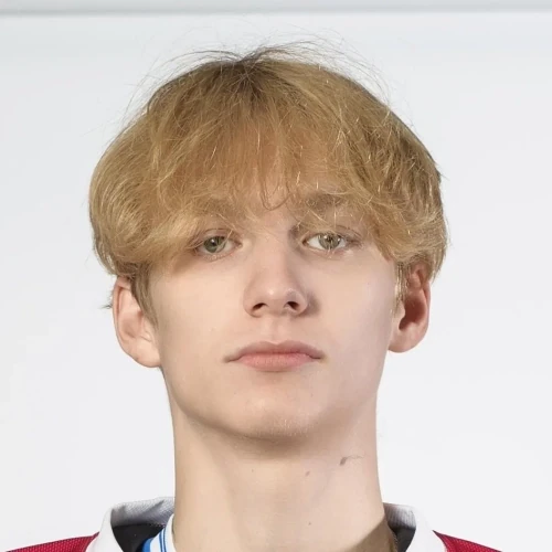 Burmatov Arkadii Aleksandrovich