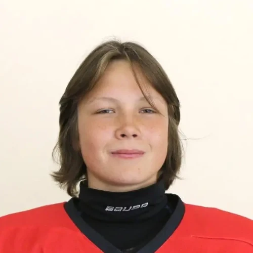 Goldyrev Maksim Igorevich