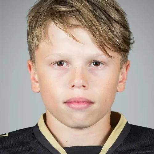 Gorbushin Matvei Dmitrievich