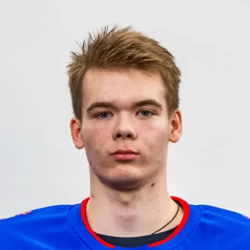 Anisimov Danila Evgenevich