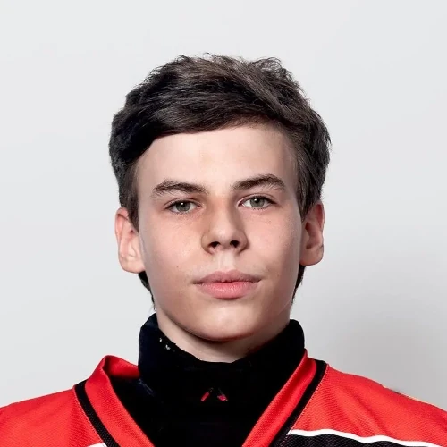 Gorshkov Dmitrii Alekseevich