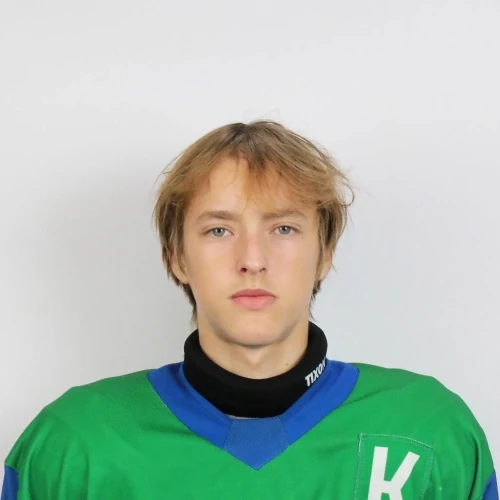 Plasteev Artem Yurevich